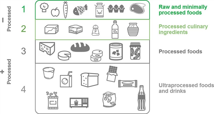 Gráfico de clasificación de alimentos naturales, procesados y ultraprocesados.